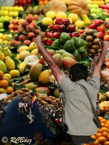 Pepinos, hipotecas e incongruencias Pepinos, hipotecas e incongruencias