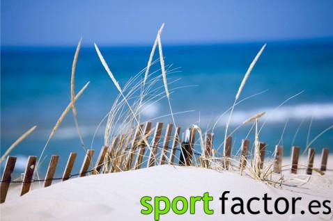 llega el verano Prepárate para sudar más de este verano