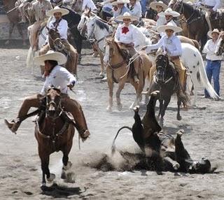 A la Vista 3ra. Fase del Circuito Excelencia Charra A la Vista 3ra. Fase del Circuito Excelencia Charra