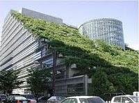 Sentirse creador libera nuestros sueños Sentirse creador libera nuestros sueños