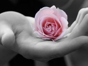 Sentirse creador libera nuestros sueños Sentirse creador libera nuestros sueños