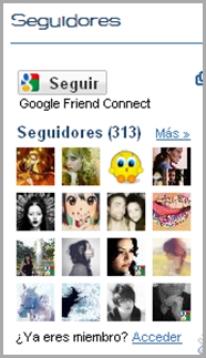 313-seguidores 313-seguidores