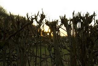 Don't Let Him In Don't Let Him In