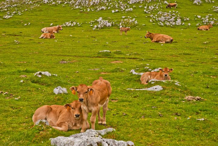 De Sobrevitsa a Sobia, en Teverga.  Por Max.