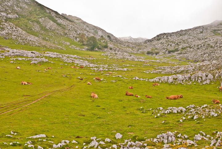 De Sobrevitsa a Sobia, en Teverga.  Por Max.