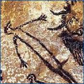 El origen del preservativo El origen del preservativo