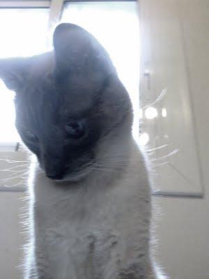 Domingos que no lo son. Domingos que no lo son.