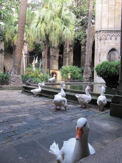 De catedrales y gárgolas: Barrio gótico de Barcelona