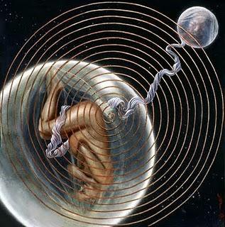 Luna y fertilidad ¿hay alguna relación? Luna y fertilidad ¿hay alguna relación?