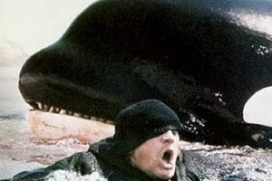 Top ten de animales come hombres Top ten de animales come hombres