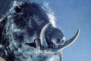 Top ten de animales come hombres Top ten de animales come hombres