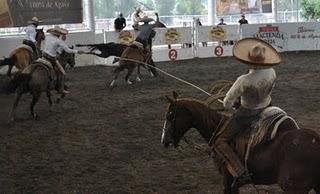 “Vosito” Sánchez Primero de Occidente con 252 “Vosito” Sánchez Primero de Occidente con 252