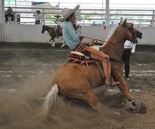 2 Arriba de 200 del Regional Completos de Occidente 2 Arriba de 200 del Regional Completos de Occidente