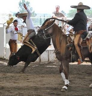 2 Arriba de 200 del Regional Completos de Occidente 2 Arriba de 200 del Regional Completos de Occidente