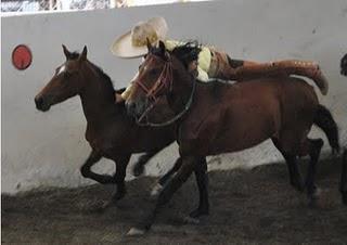 2 Arriba de 200 del Regional Completos de Occidente 2 Arriba de 200 del Regional Completos de Occidente