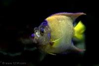 Colores del Agua Colores del Agua