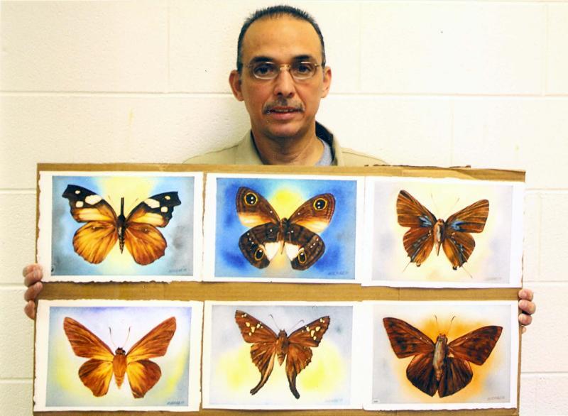 Las Mariposas de Antonio Guerrero