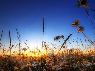 Mantra & Pensamiento Mantra & Pensamiento