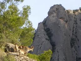 no sobresalir, es mejor ser un inútil si no puede ser mala persona no sobresalir, es mejor ser un inútil si no puede ser mala persona