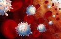Celulas Hematopoyeticas ocultan al VIH