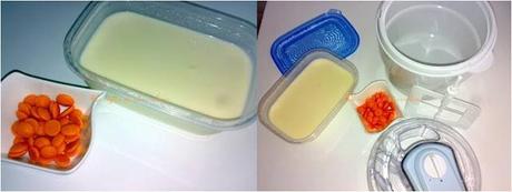 Helado de chocolate blanco con pepitas de chocolate de naranja regado con culís de melocotón al aroma de hierbabuena Helado de chocolate blanco con pepitas de chocolate de naranja regado con culís de melocotón al aroma de hierbabuena