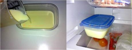 Helado de chocolate blanco con pepitas de chocolate de naranja regado con culís de melocotón al aroma de hierbabuena Helado de chocolate blanco con pepitas de chocolate de naranja regado con culís de melocotón al aroma de hierbabuena