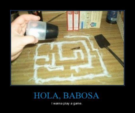 CR_176636_hola_babosa Laberinto para Babosas