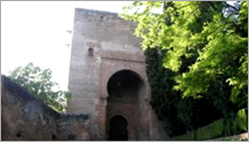 43695_2.jpg 43695_2.jpg