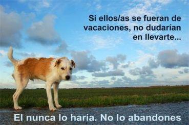 No los abandones No los abandones