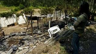 Quemados vivos en la prote de Terracan (El Ferrol) POR FAVOR, JUSTICIA PARA ELLOS!!! Matan 17 perros al prender fuego a un refugio de animales de Ferrol