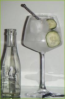 Homenaje al Pepino Balneario Termas Pallarés Gin & Tonic de pepino Hendrick’s