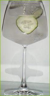 Homenaje al Pepino Balneario Termas Pallarés Gin & Tonic de pepino Hendrick’s