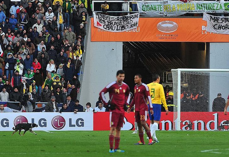 Brasil y Venezuela en tablas, otra sorpresa en La Plata Brasil y Venezuela en tablas, otra sorpresa en La Plata
