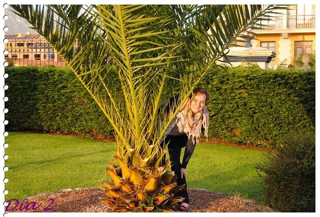 My photographers (II) My photographers (II)