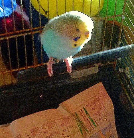 HASTA SIEMPRE, MI AMADO FLOREN... HASTA SIEMPRE, MI AMADO FLOREN...