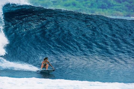 Sally2 La Batalla por el Título Mundial: Carissa vs Sally