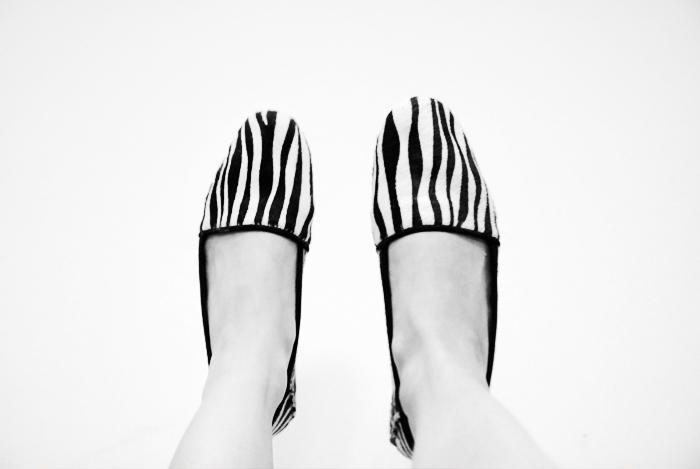 Zebra Photobucket