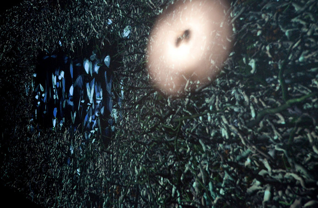 Sistemes vius - Christa Sommerer y Laurent Mignonneaur Sistemes vius - Christa Sommerer y Laurent Mignonneaur