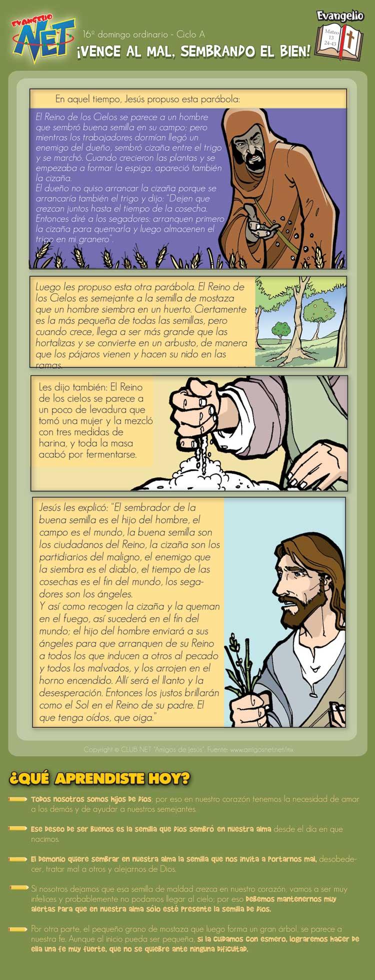 Evangelio Dominical: 17 de julio del 2011