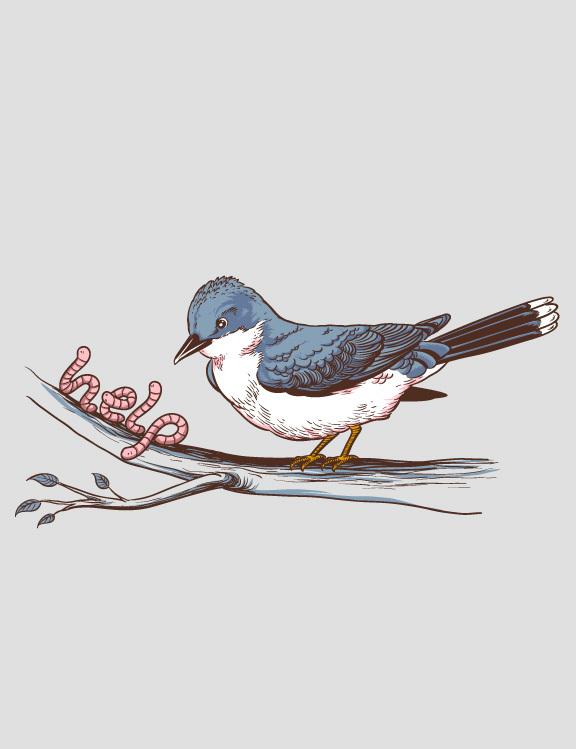 Excelentes Diseños de Remeras I fm 365