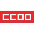CCOO de Málaga: incluir el servicio doméstico en el Régimen General es un acuerdo histórico CCOO de Málaga: incluir el servicio doméstico en el Régimen General es un acuerdo