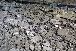 :: Isaac Cordal :: :: Isaac Cordal ::