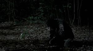 Tropical61 Esos encuentros con ellos (I)