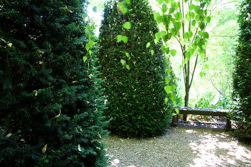 El Romeral de Leandro Silva Plazoleta de los tejos