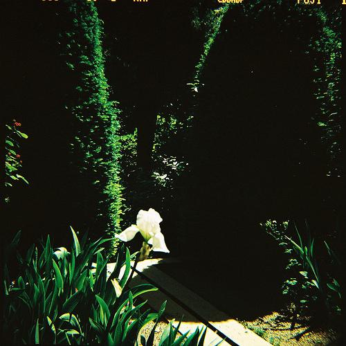 El Romeral de Leandro Silva Romeral de San Marcos