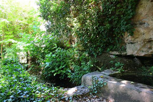 El Romeral de Leandro Silva Albercas