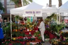 Pilar de la Horadada. Mercado Marinero y Un Pilar de Flores en Verano 2011