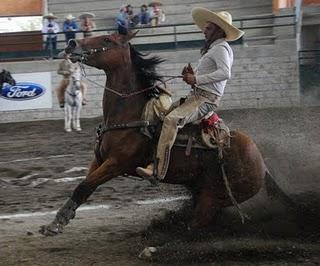 Ultima eliminatoria del Circuito Excelencia Charra Ultima eliminatoria del Circuito Excelencia Charra