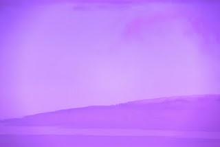 UN AÑO DESPUÉS UN AÑO DESPUÉS