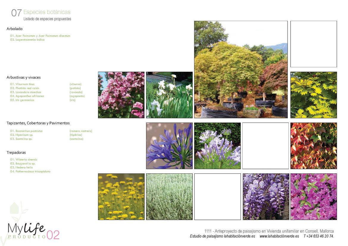 Lhv-diseno-jardin-07-low El jardín de Emma, ganadora!